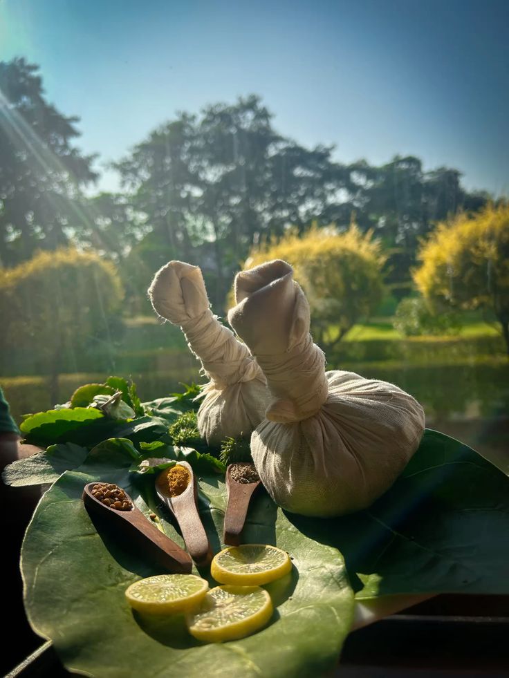 Sanjeevani Ayurveda Institute